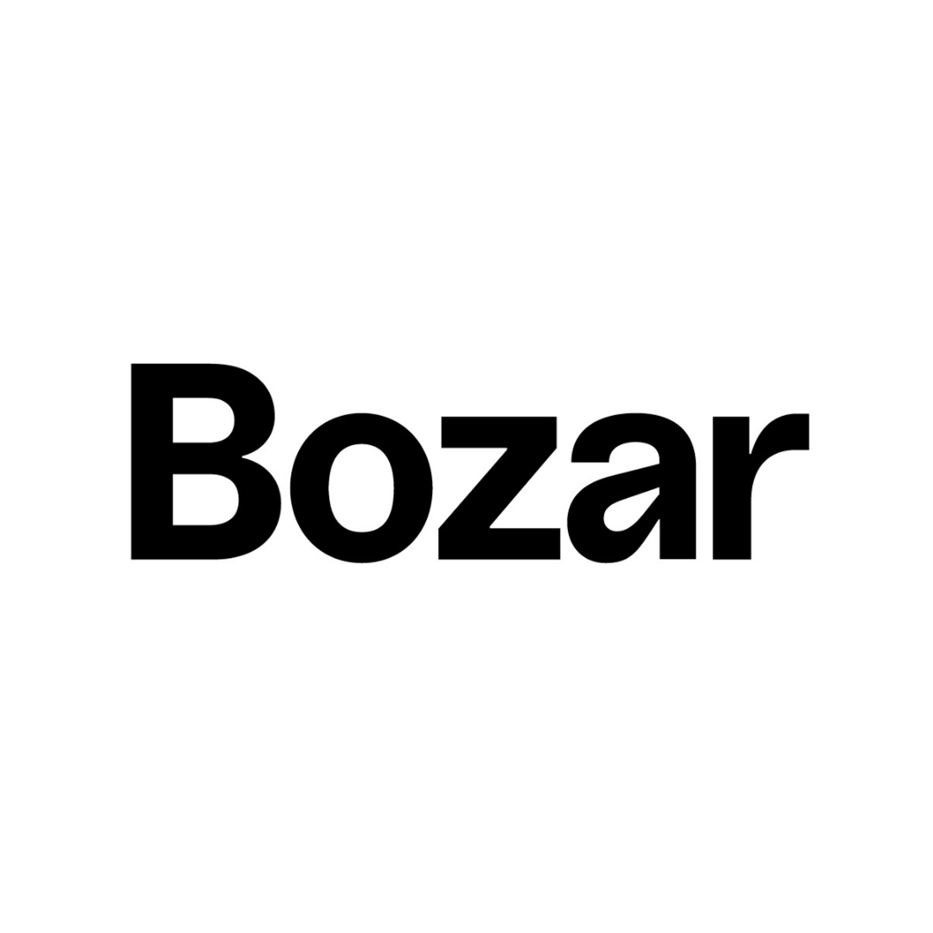 Logo klant: Bozar